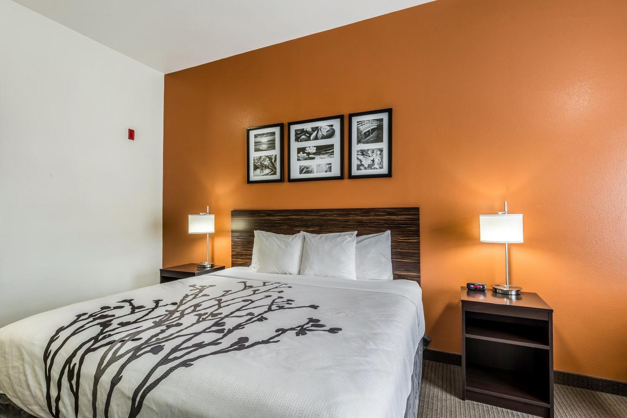 Sleep Inn & Suites Stafford - Sugarland Dış mekan fotoğraf