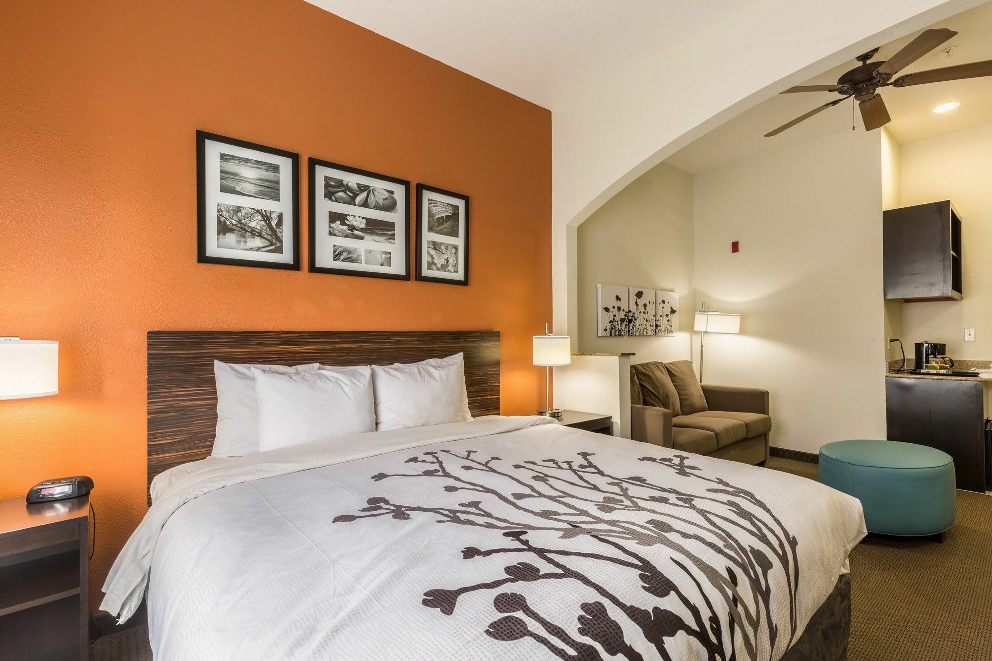 Sleep Inn & Suites Stafford - Sugarland Dış mekan fotoğraf
